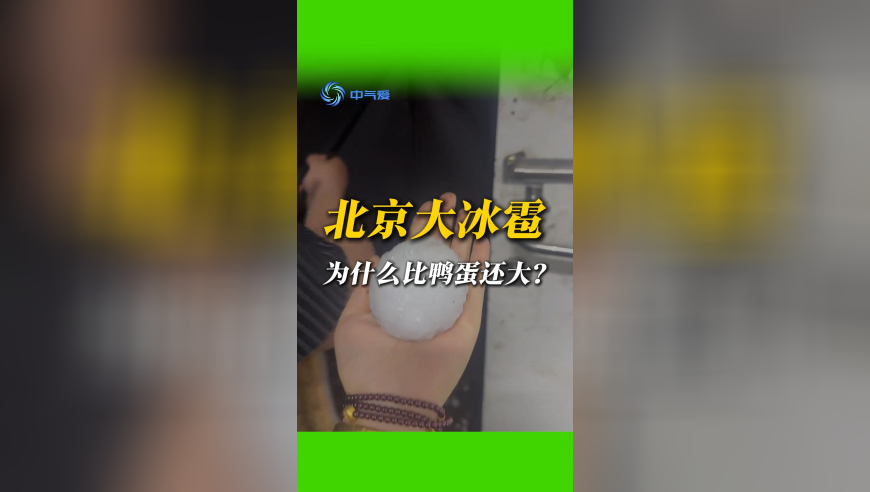 最准一肖一码100准最准,紫金矿业2024净利润同比增长51.76%,广泛的解释落实方法分析_轻量版V2.32